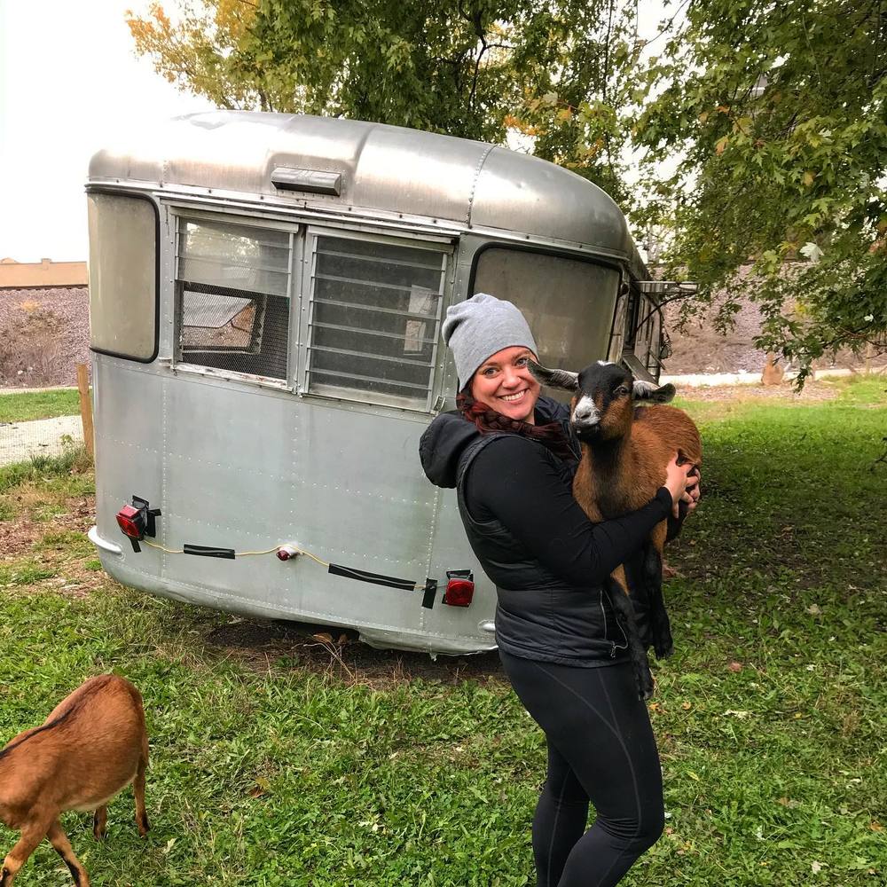 Meet your Posher, Ellen